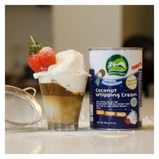 Nature's Charm 椰子裝飾油（椰子鮮奶油）400g /罐 愛家嚴選純素 素食奶油 甜點DIY 糕點裝飾